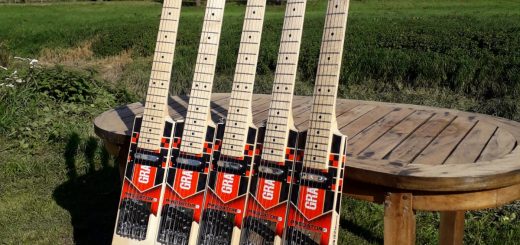 cricket bat guitars