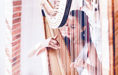 Musicians for small weddings - Harpist